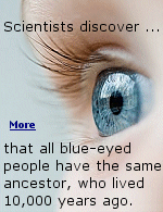 Before a genetic mutation occurred to a single person 10,000 years ago, all humans had brown eyes. Why are there so many blue-eyed people? The gene also makes you have a lot of children.